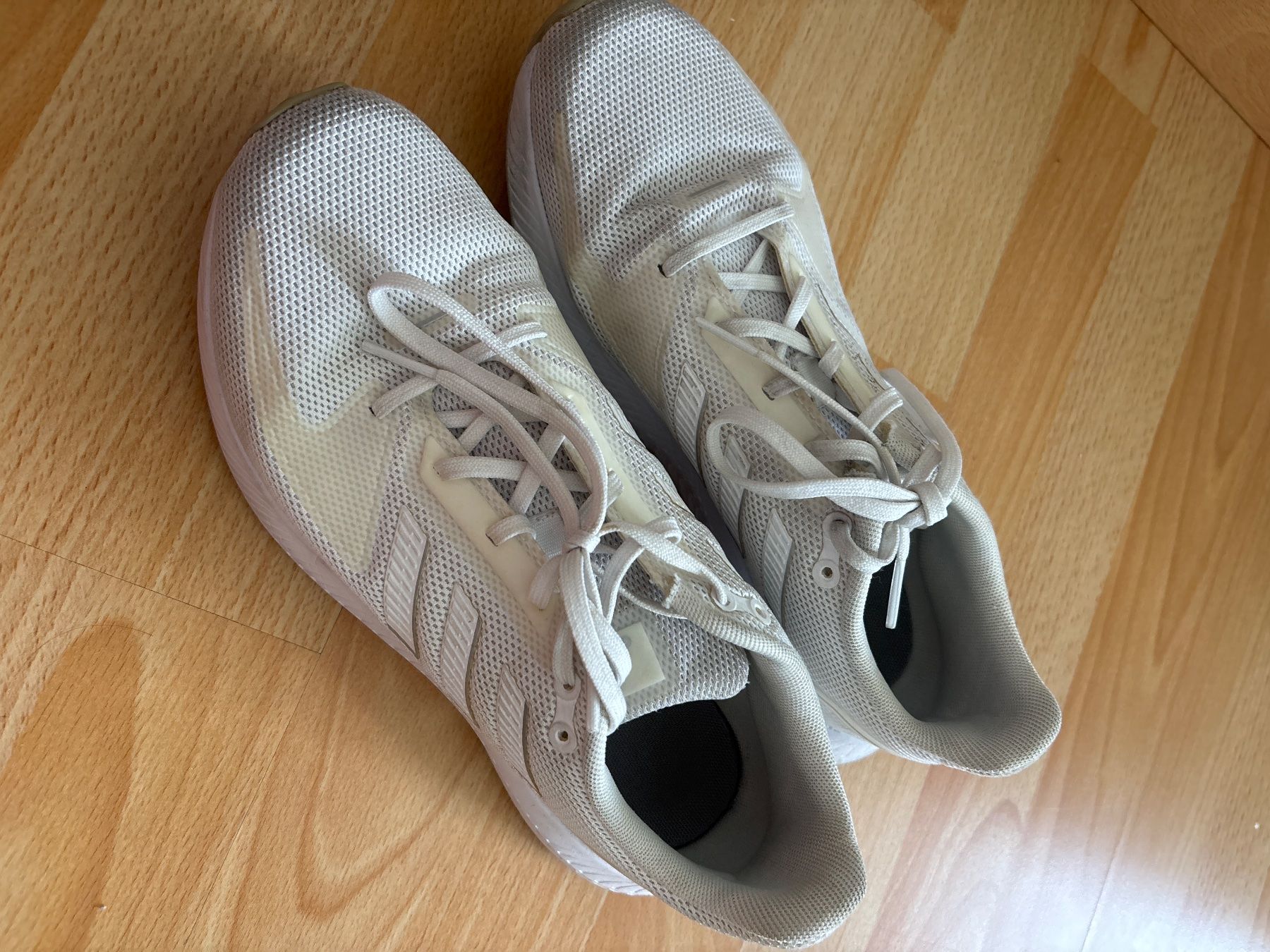Adidas Scarpe da uomo: Adidas Hallenschuhe – Usato da Grabs venduto da ljix 1
