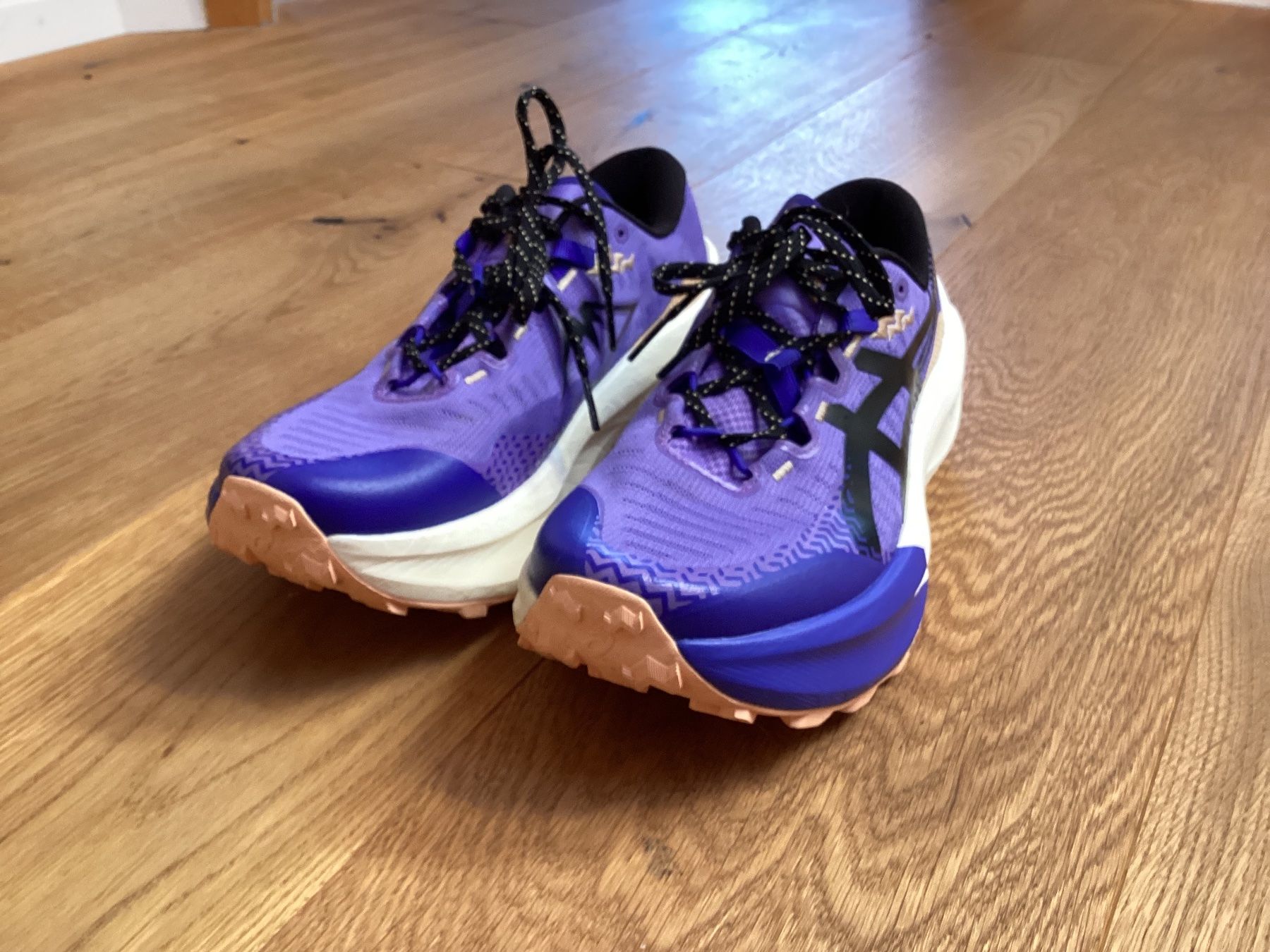 Asics Herrenschuhe: Asics Trabuco Max 5 Trailrunningschuh – Gebraucht aus Domat Ems von parnifel 1