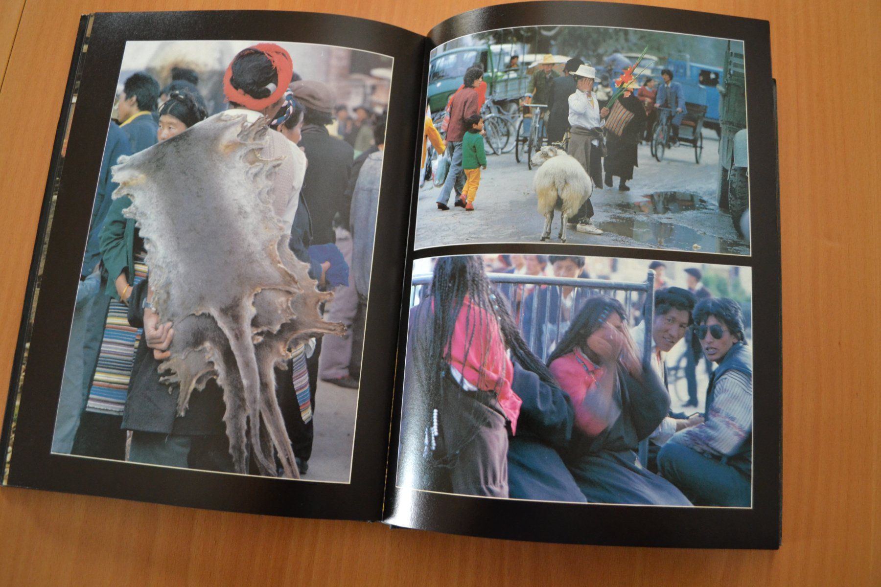 Livres: Tibet – D'occasion à Beinwil am See par kajak55 5