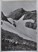 SÄNTIS