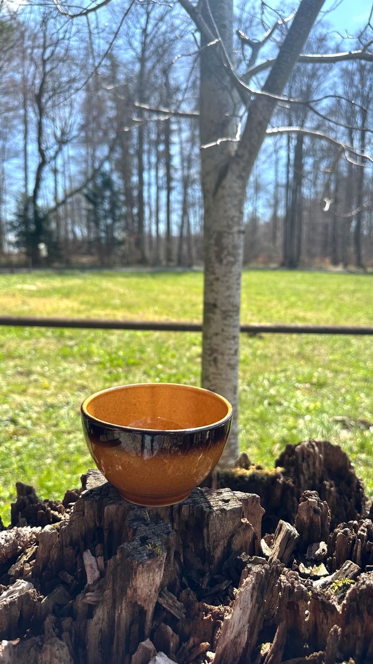 Rössler Ciotole: Rössler Bole Braun, Chacheli, Müeslischale – Usato da Zürich venduto da brazerola 1