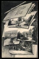 Grusskarten-AK Ferch, Historische Moosh