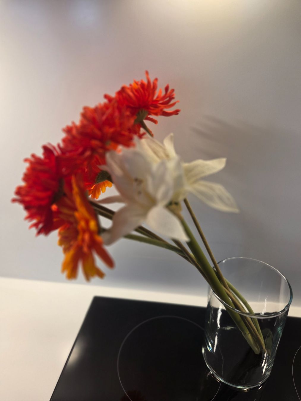 Plantes & graines: Blumen – D'occasion à Zürich par Lela-Mirela