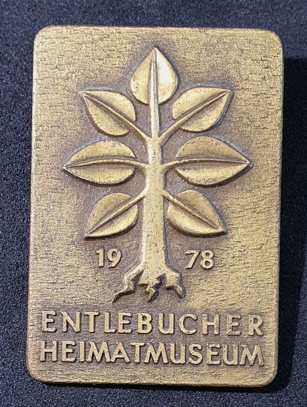 Placchette & Badge: GG106 - Brosche 1978 Entlebuch Heimatmuseum / Baum – Usato da Reinach BL venduto da Boston-Verkauf