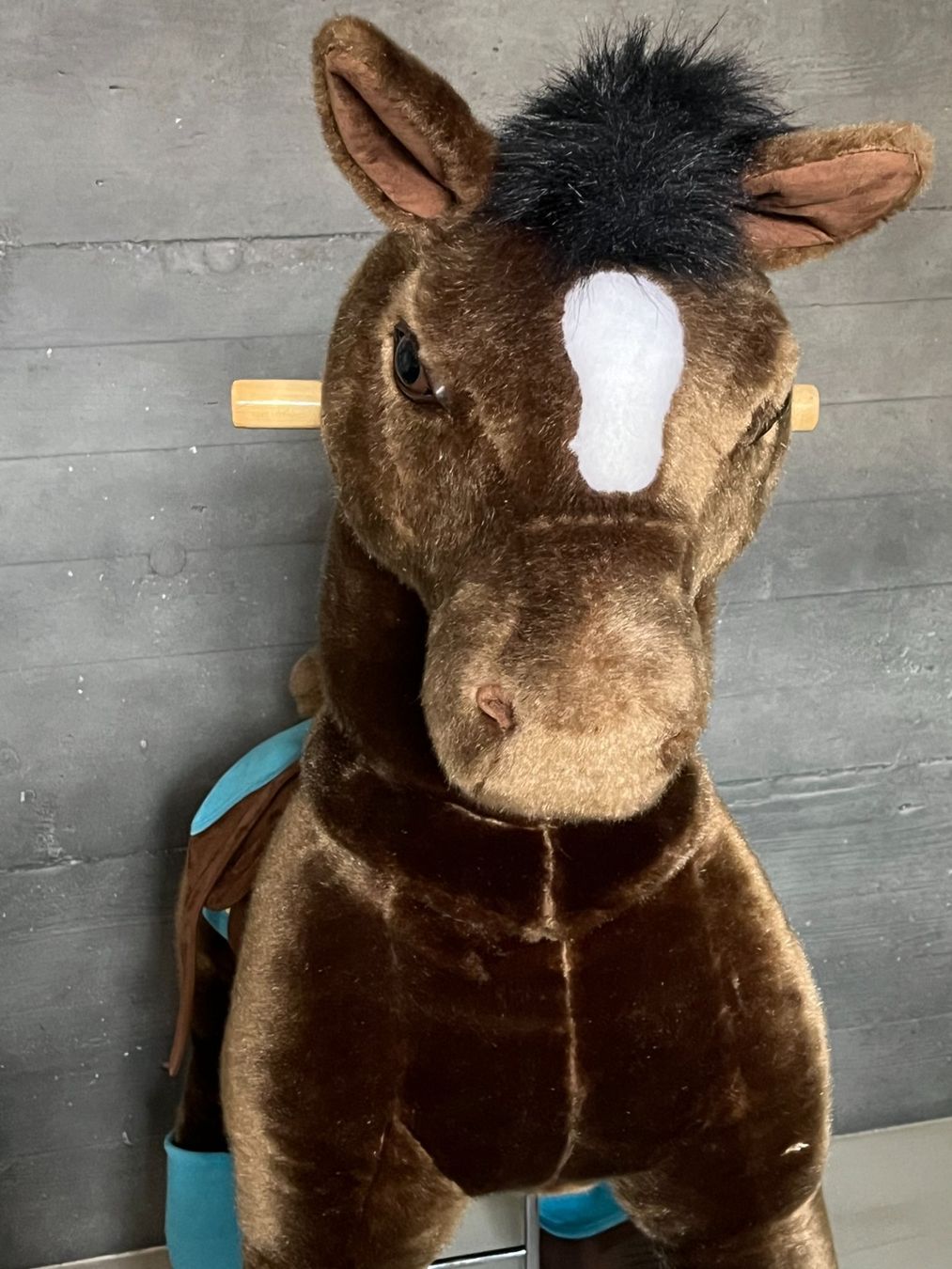Giocattoli: PonyCycle -Modèle Equitation Chococolat-Cheval à Roulettes – Usato da Onnens VD venduto da thi_6rvw 1
