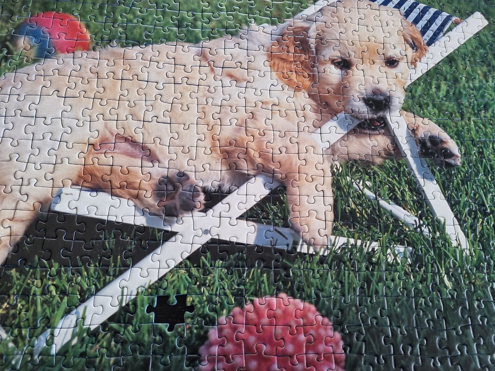Ravensburger Puzzles: Schönes Puzzle 'Ravensburger' Golden Retriever – Gebraucht aus Nottwil von Janny77 2