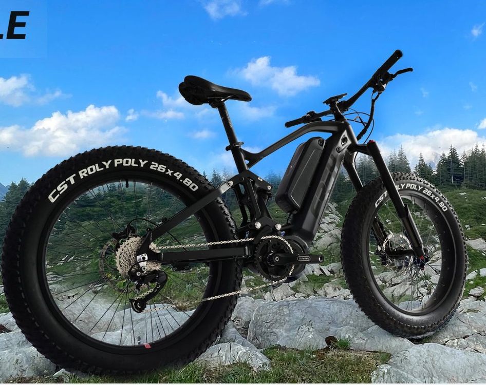 Frey EX Fatbike, 1000W Motor, 160nm Torque, 1340Wh Akku, NEU (Neu und ...