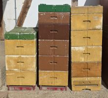 Bienen Magazinen Zander