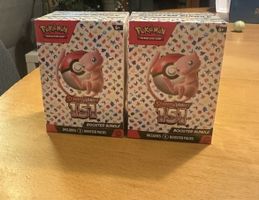 2 x 151 Boosterbundle Englisch