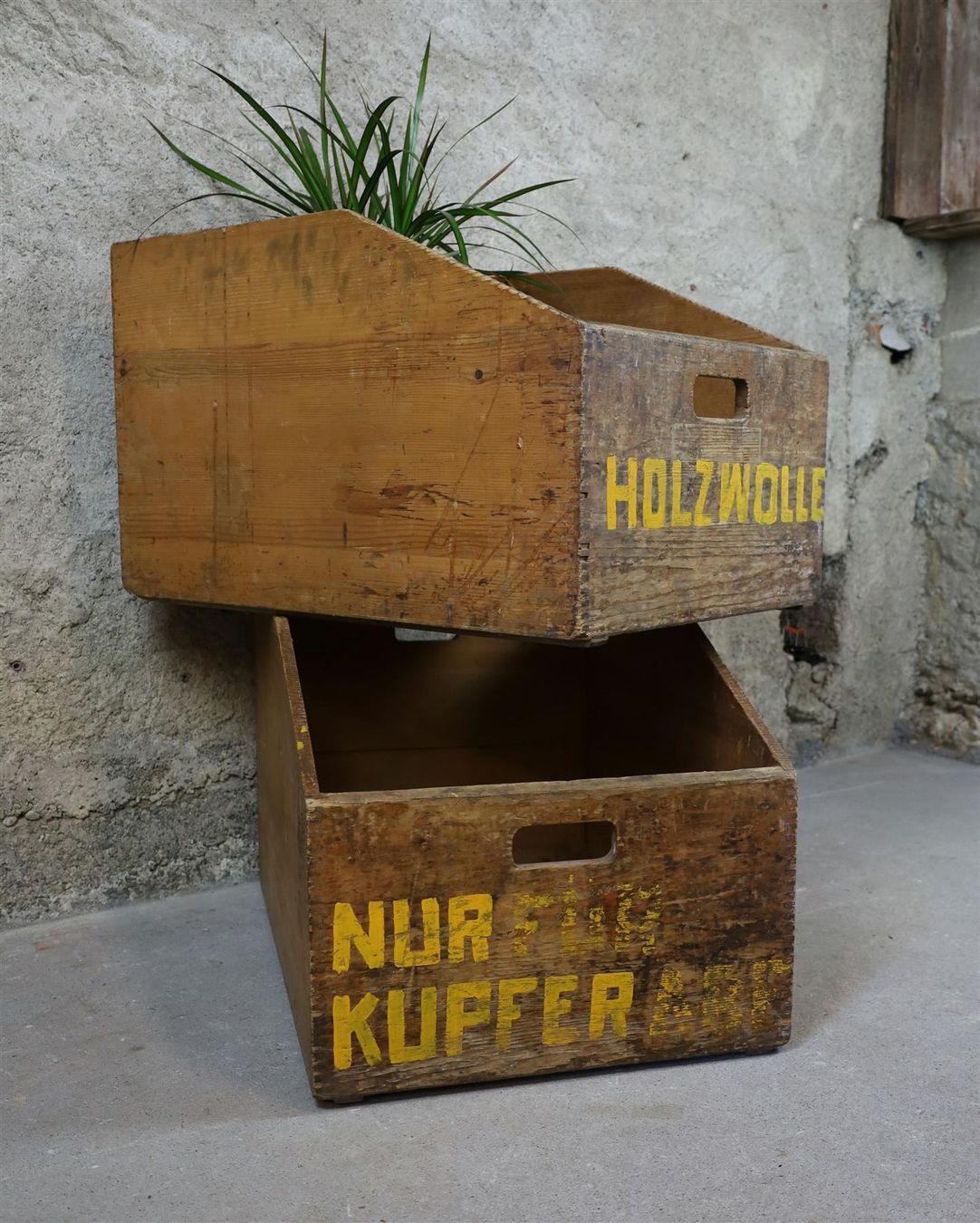 Casse di trasporto: 2x Holzkiste "Sichtlagerkisten" – Usato da Birrwil venduto da brandschatz_birrwil 3