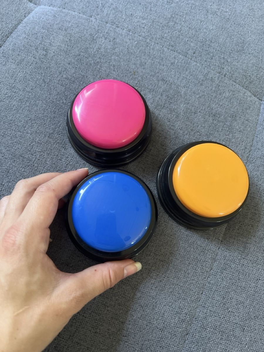 Schalter: Buzzer avec enregistrement de la voix – Neu (gemäss Beschreibung) aus Courroux von mar_82gk 1