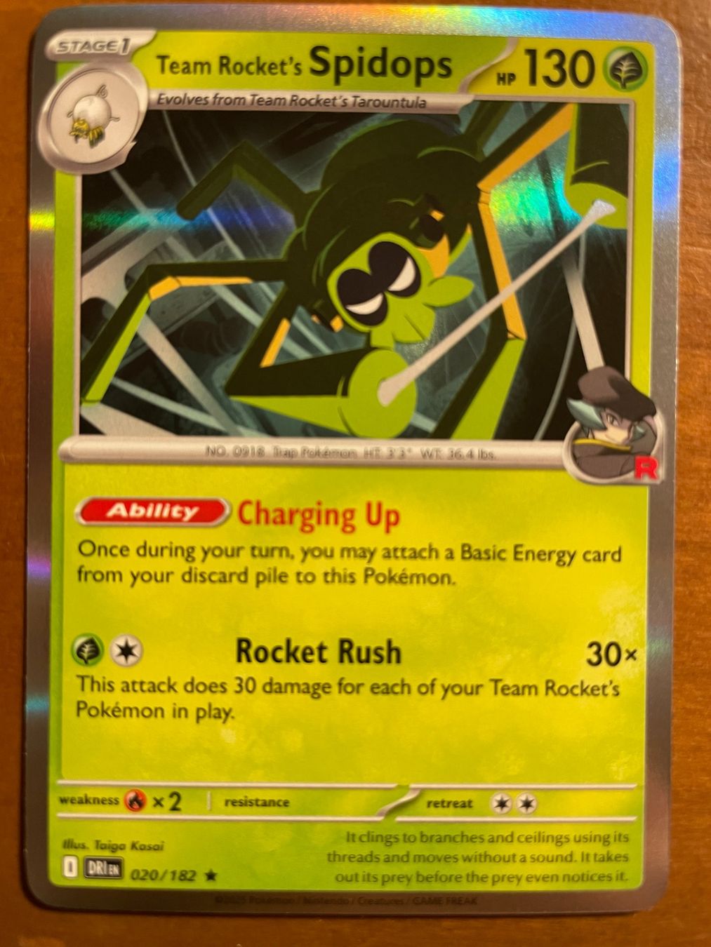 Pokémon Carte collezionabili: Pokemon Team Rocket's Spidops Holo (Versand gratis) – Nuovo (secondo la descrizione) da Chur venduto da Angerson