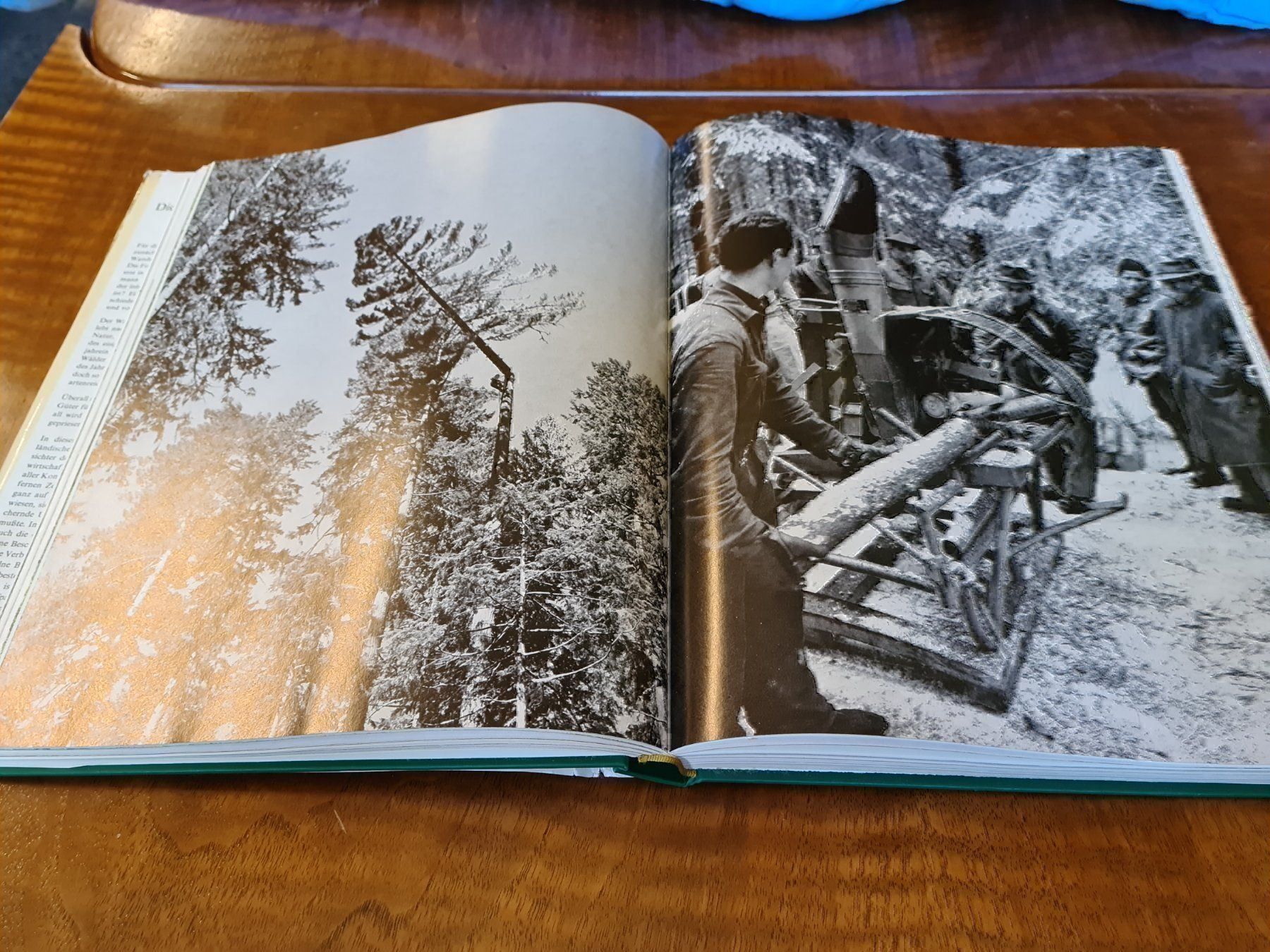 Libri: Die Wälder der Erde – Usato da Erstfeld venduto da Uhu1980 2
