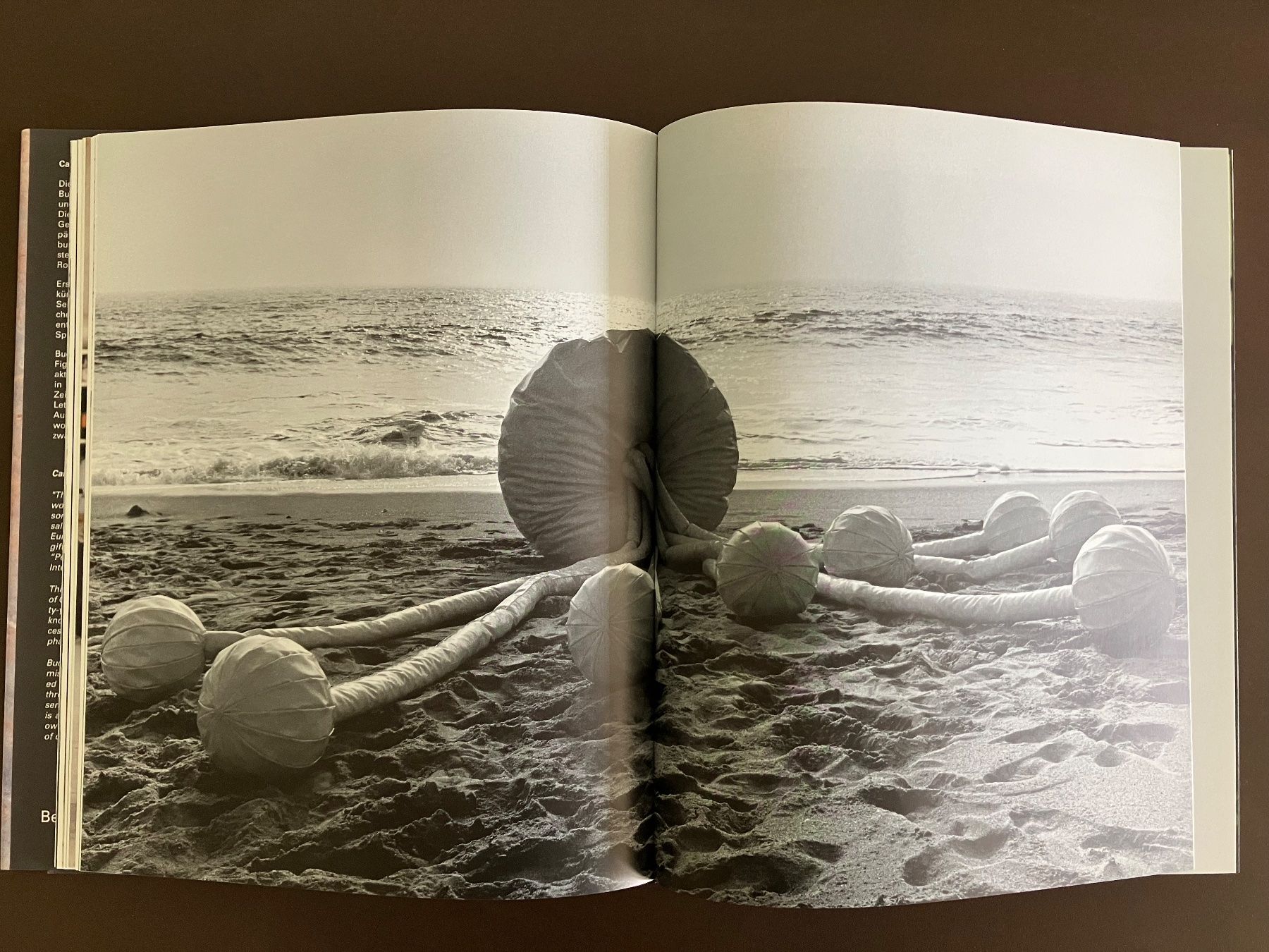 Libri: Kunst - Carl Bucher - schöner Bildband – Usato da Menziken venduto da timbuktu1001 6