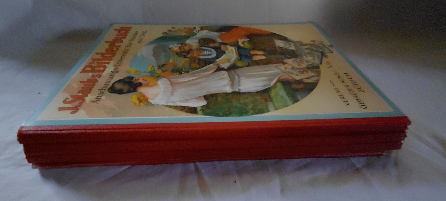 Libri: 4 Bände J. Staubs Bilderbücher – Usato da Trogen venduto da Limboo 7