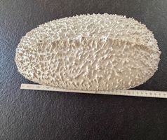 Keramik  „PANE“