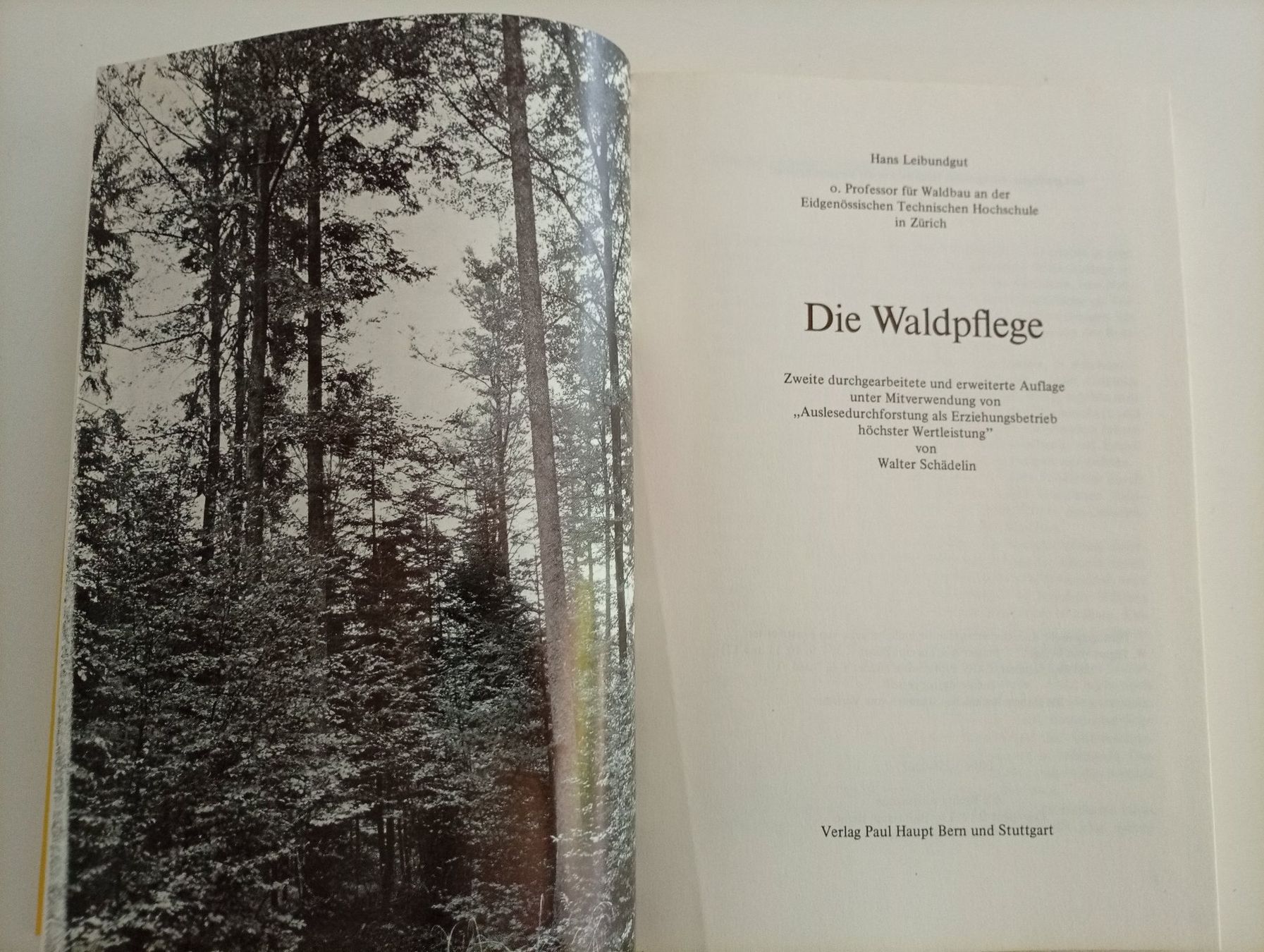 Libri: Hans Leibundgut, Die Waldpflege, 1978 – Usato da Locarno venduto da edn.vintage 1