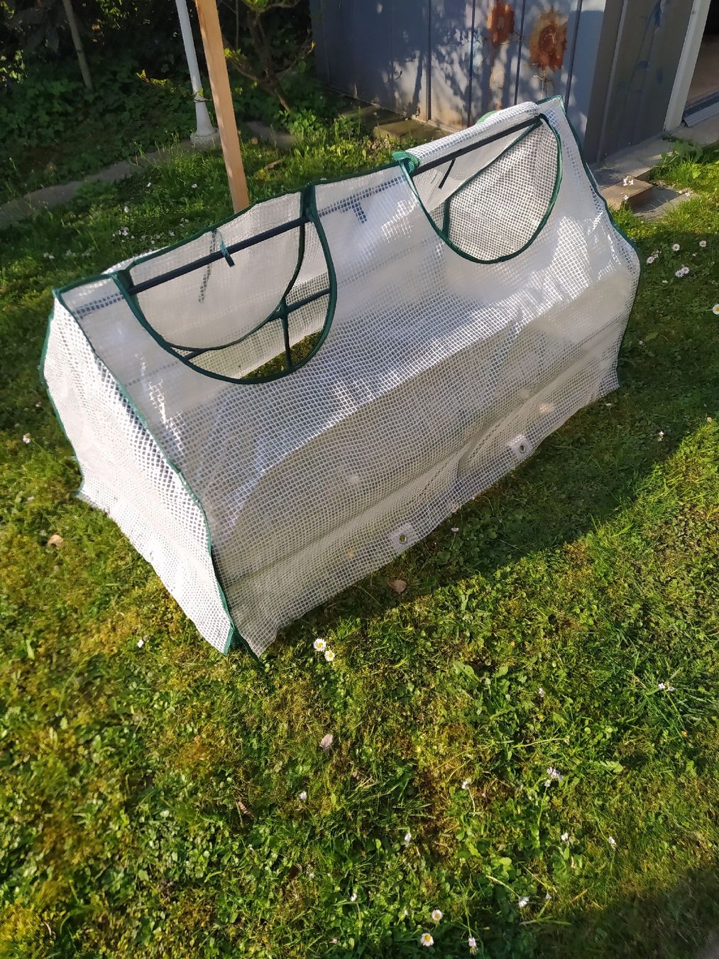 Box contenitori: Gartengewächshäuschen 2 Stk. – Usato da Weiningen ZH venduto da Vitanyi
