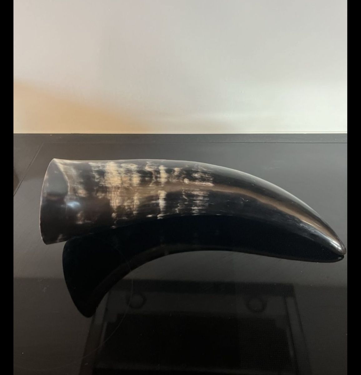 Tutte le decorazioni: Grosses Horn Deko 43cm – Nuovo (secondo la descrizione) da Binningen venduto da mar_nz5s 1
