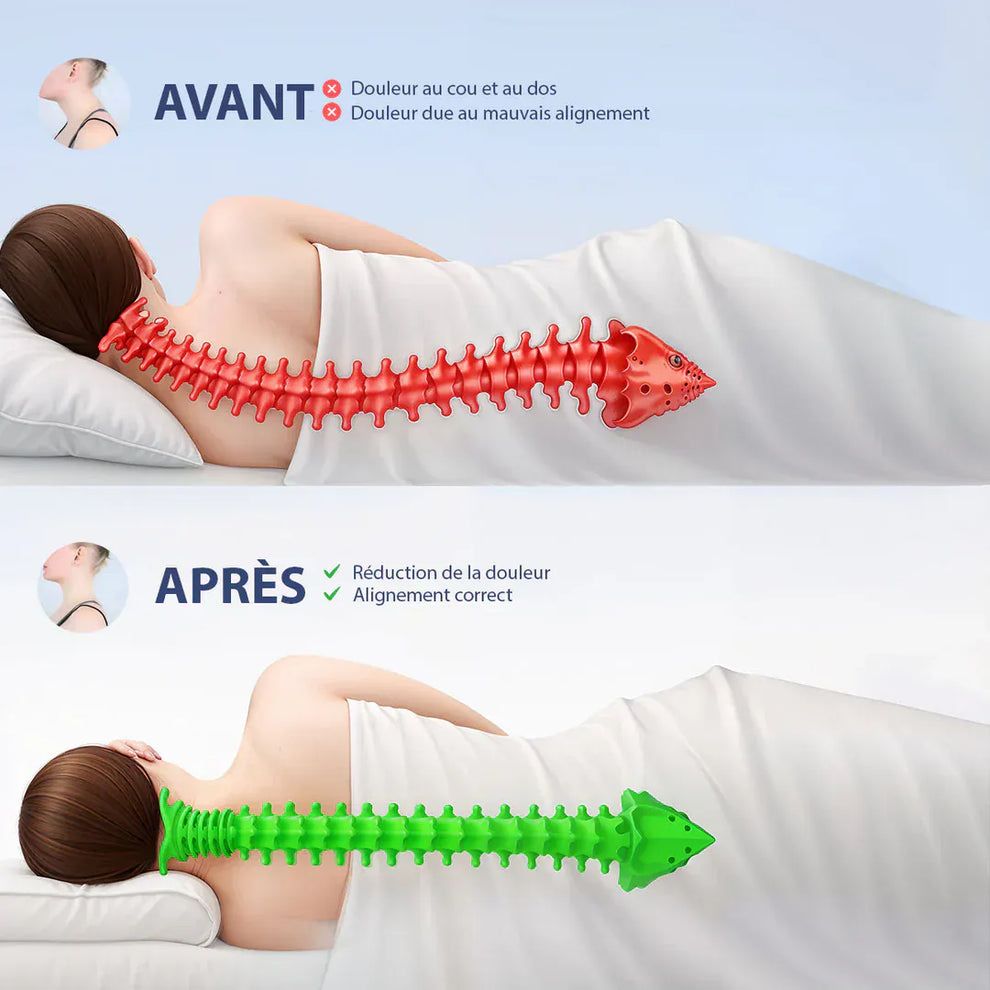 Cuscini: Coussin d’alignement Cervical OrthoSleep – Nuovo e nell'imballaggio originale da Conthey venduto da Michel124 3