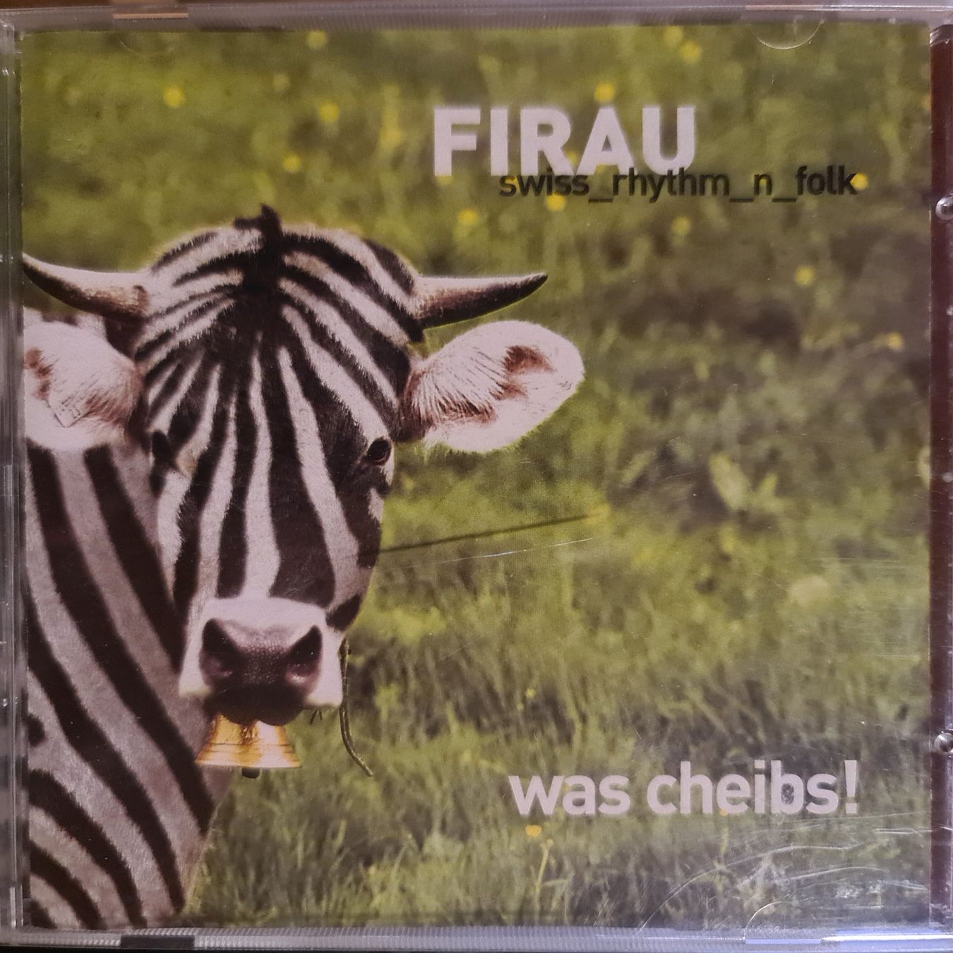 CDs: Firau - was cheibs – Gebraucht aus Dintikon von Vexi