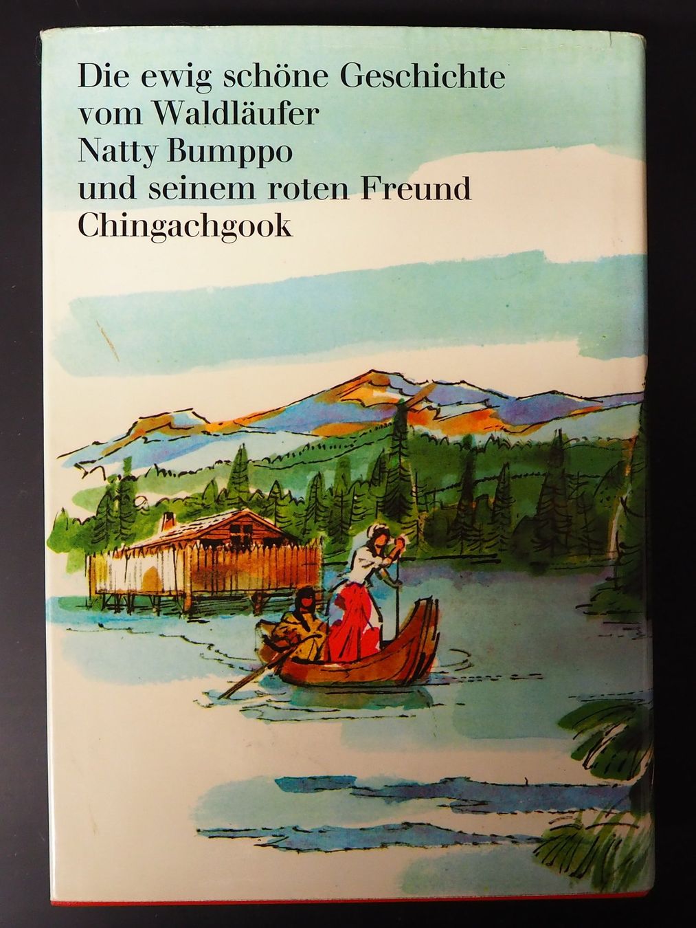 Libri: Lederstrumpf vom J.F. Cooper – Usato da Chur venduto da big_5zx8 1