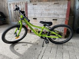 Kindervelo 20“ 