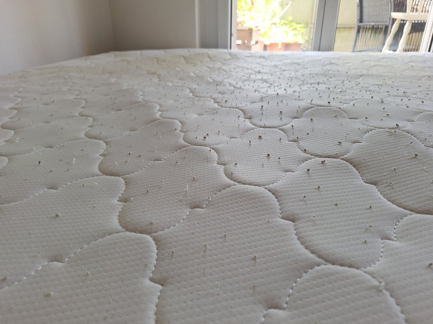 Matelas: Gratis Matratze 160x200 cm – D'occasion à Bern par iri_cdp9 2
