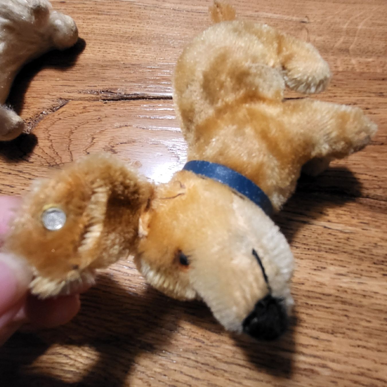 Steiff Giocattoli: 3 kleine STEIFF Tierli antik – Usato da Kägiswil venduto da Megafi56 2