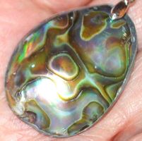 Anhänger L-5399 – Abalone Muschel 37x28mm