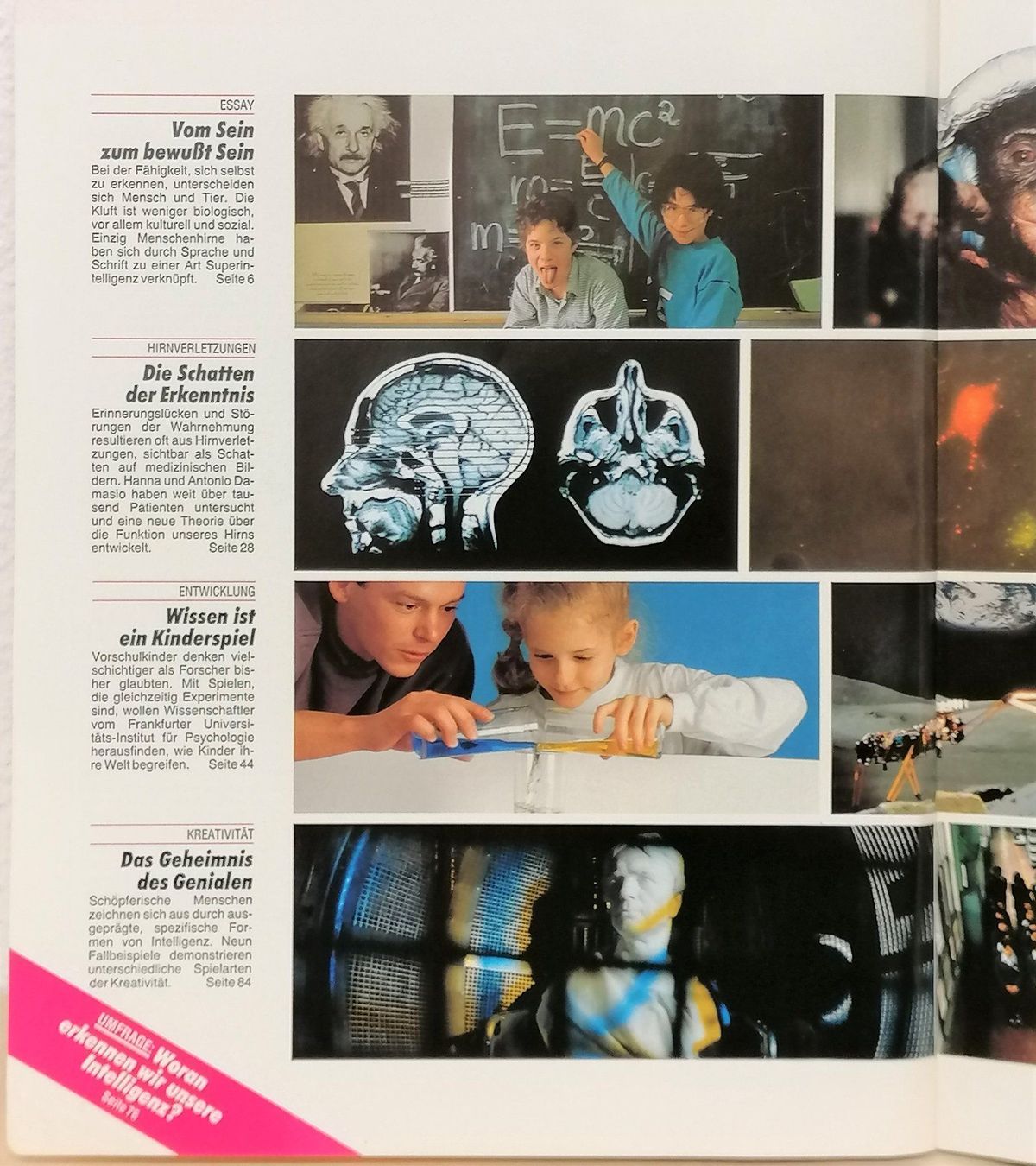 Riviste & Magazine: GEO WISSEN – Intelligenz + Bewusstsein – Usato da Reinach BL venduto da fliegenrolli 1