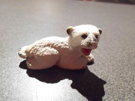 Eisbär liegend