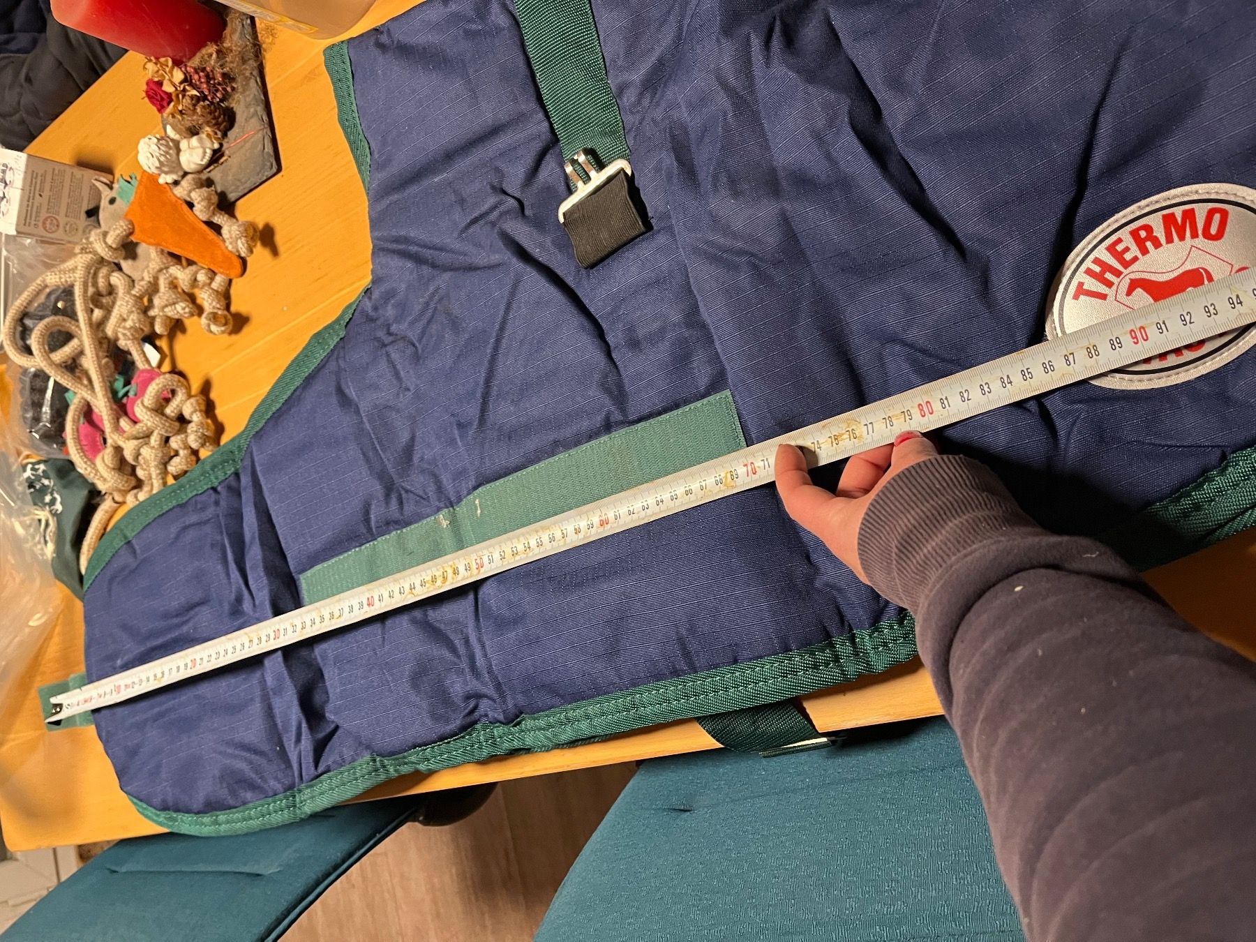 Coperte: Fohlendecke blau – Usato da Oppligen venduto da chicca25 5