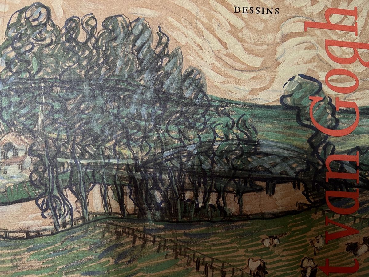 Libri: 2 livres Vincent Van Gogh – Usato da Vétroz venduto da Chrisbad60 2