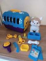 Hundespielzeug Set mit Transportbox & Plüschtier - Top!
