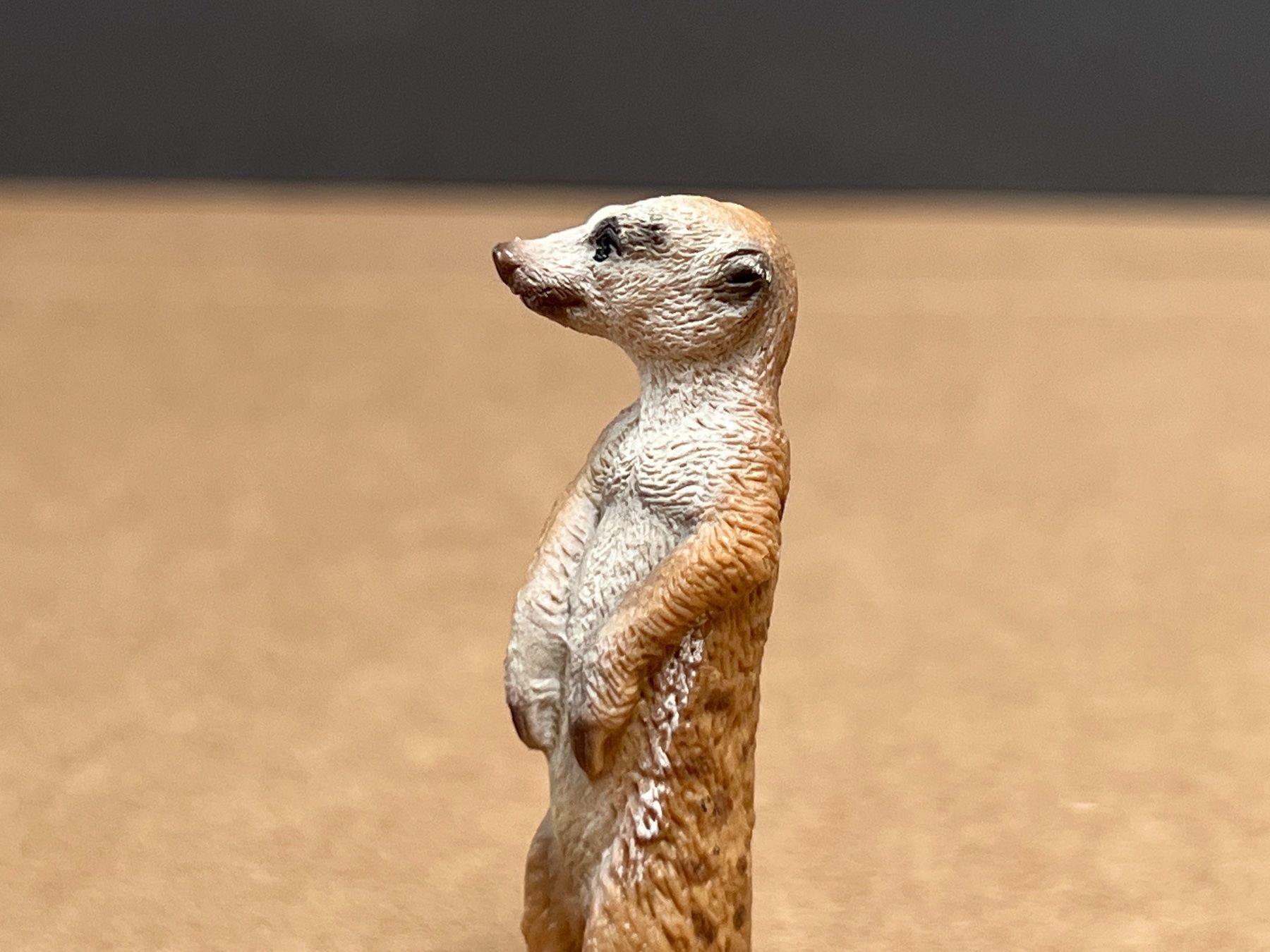 Schleich Statuette: Schleich 14368 Erdmännchen, stehend – Usato da Ennetbaden venduto da mapa05 3