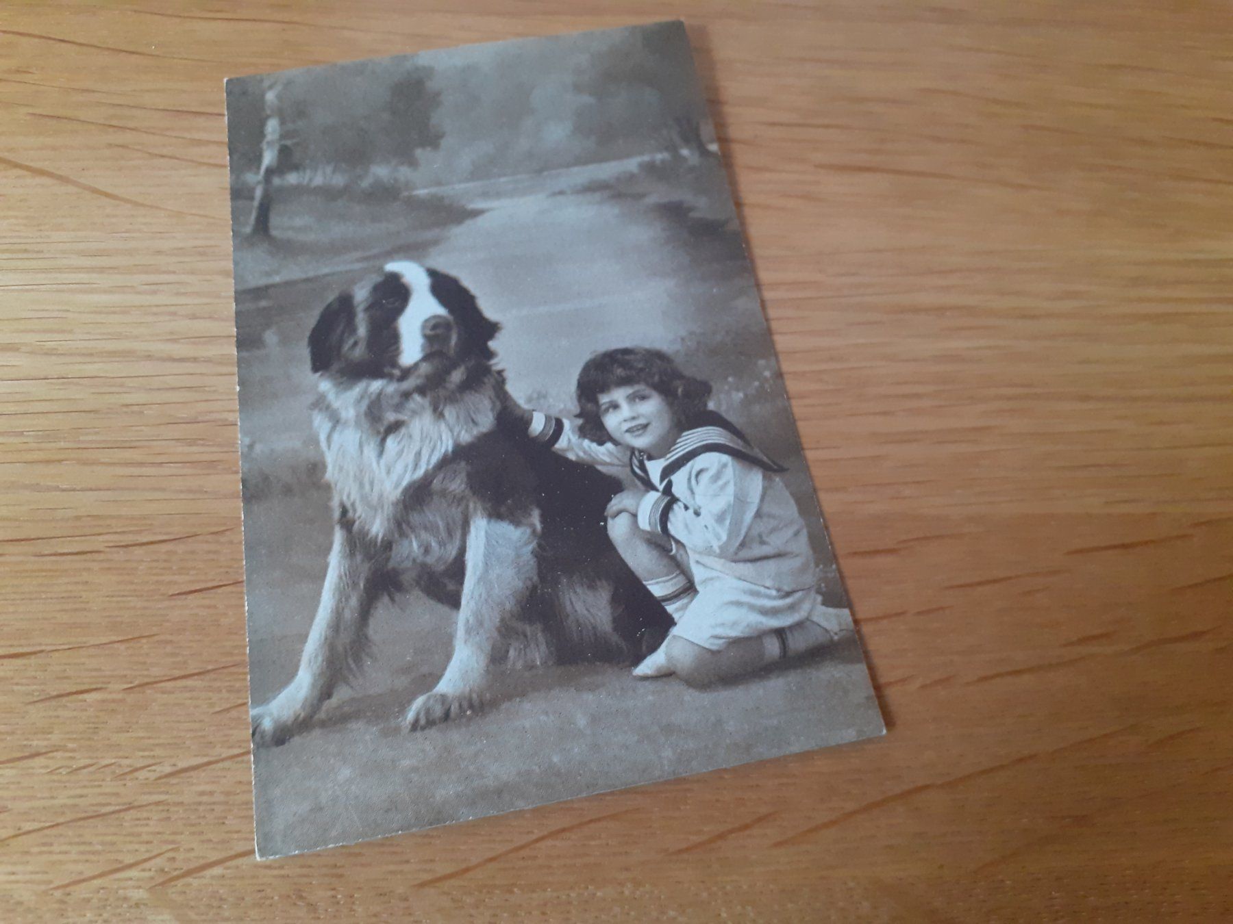 Cartoline postali: KITSCH - JUNGE mit BERNHARDINER - HUND – Usato da Winterthur venduto da Ornyx7