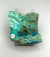 Chrysokoll / Shattuckit - Rohstein - Naturbelasen
