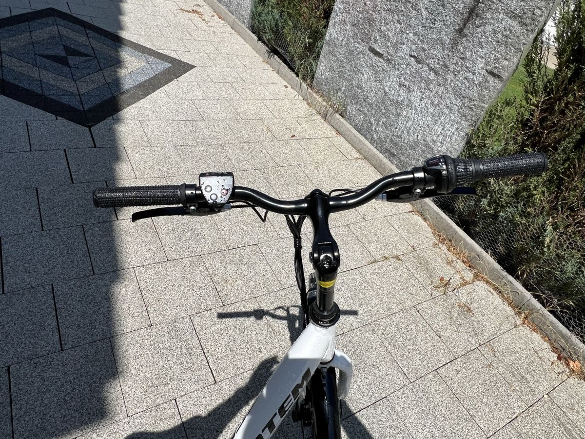 Totem Velos: TOP gepflegtes TOTEM ROXY Damen E-Bike – Gebraucht aus Fislisbach von ste_9yk7 4