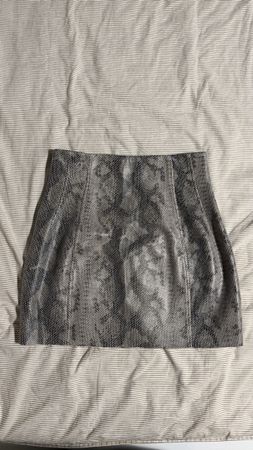zara skirt in S