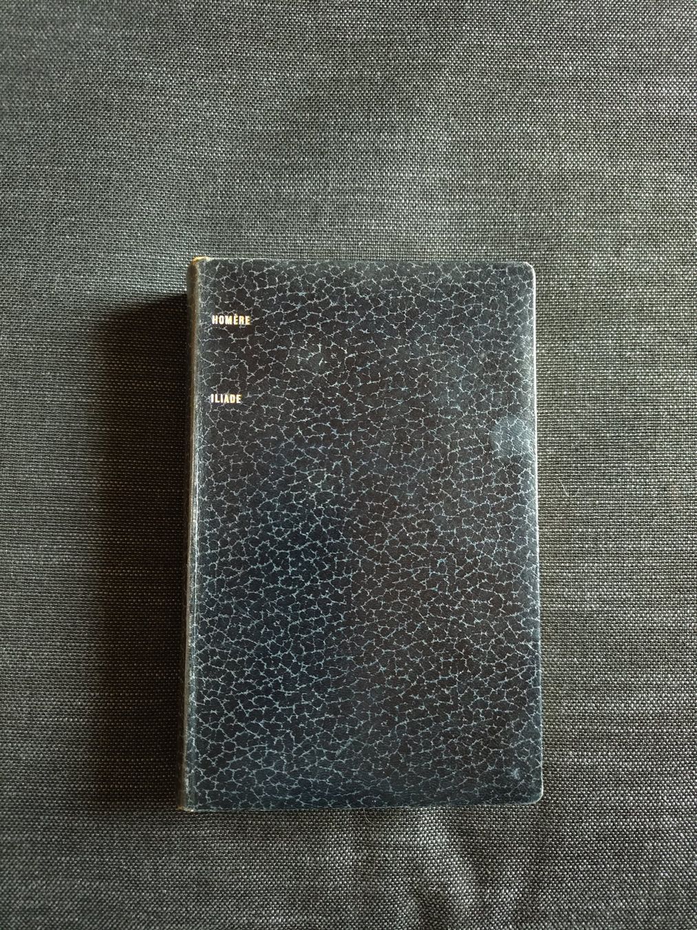 Libri: Illiade Homère – Usato da Crans VS venduto da cat_5yb8