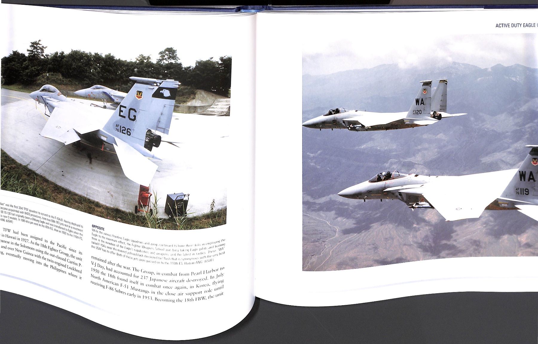 Libri: F-15 Eagle Engaged: the World's Most Successful Jet Fighter – Nuovo (secondo la descrizione) da Zürich venduto da Nobs1 8