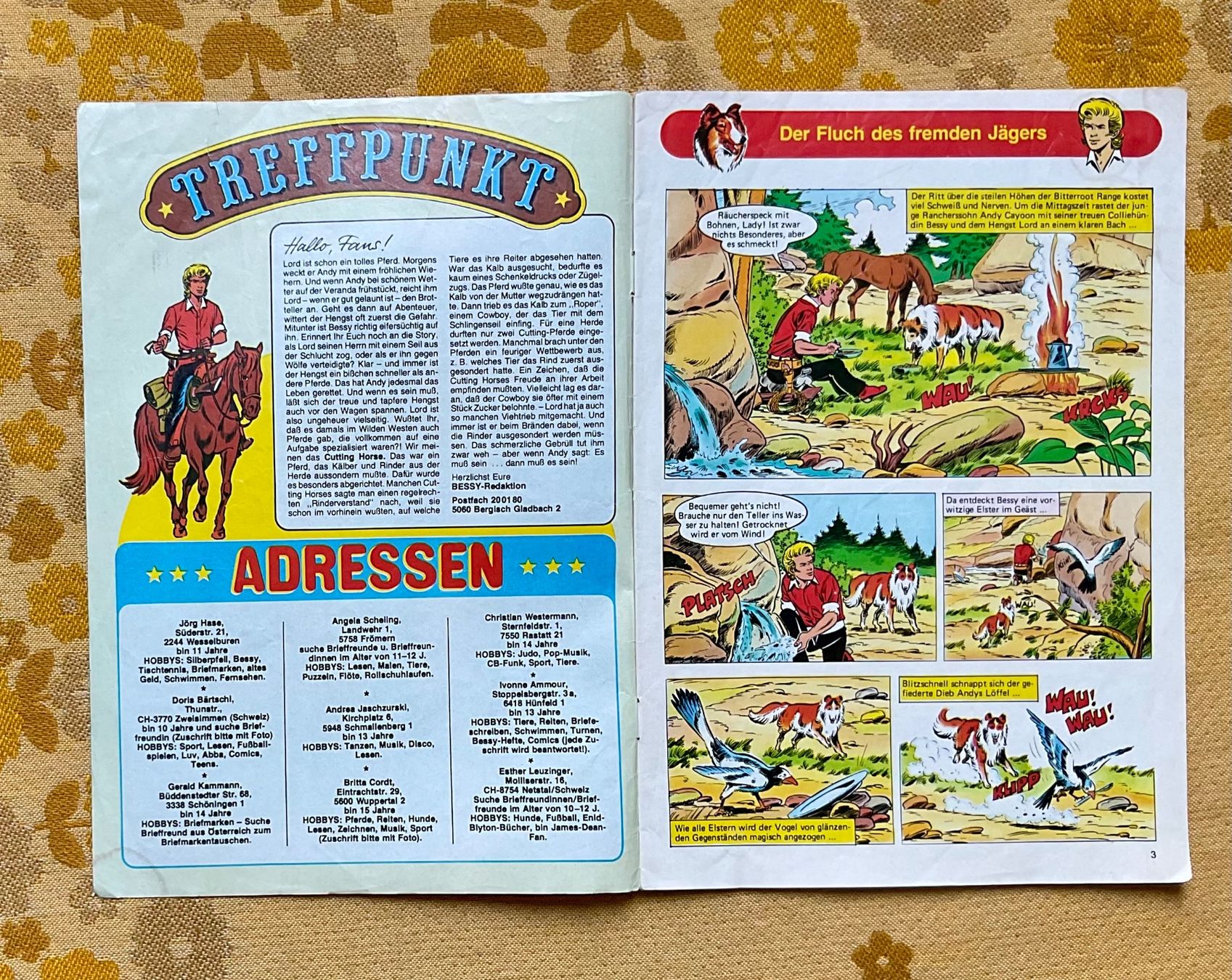 Fumetti: Bessy Heft Nr 754 von 1979 ? – Usato da Endingen venduto da nathan05 1