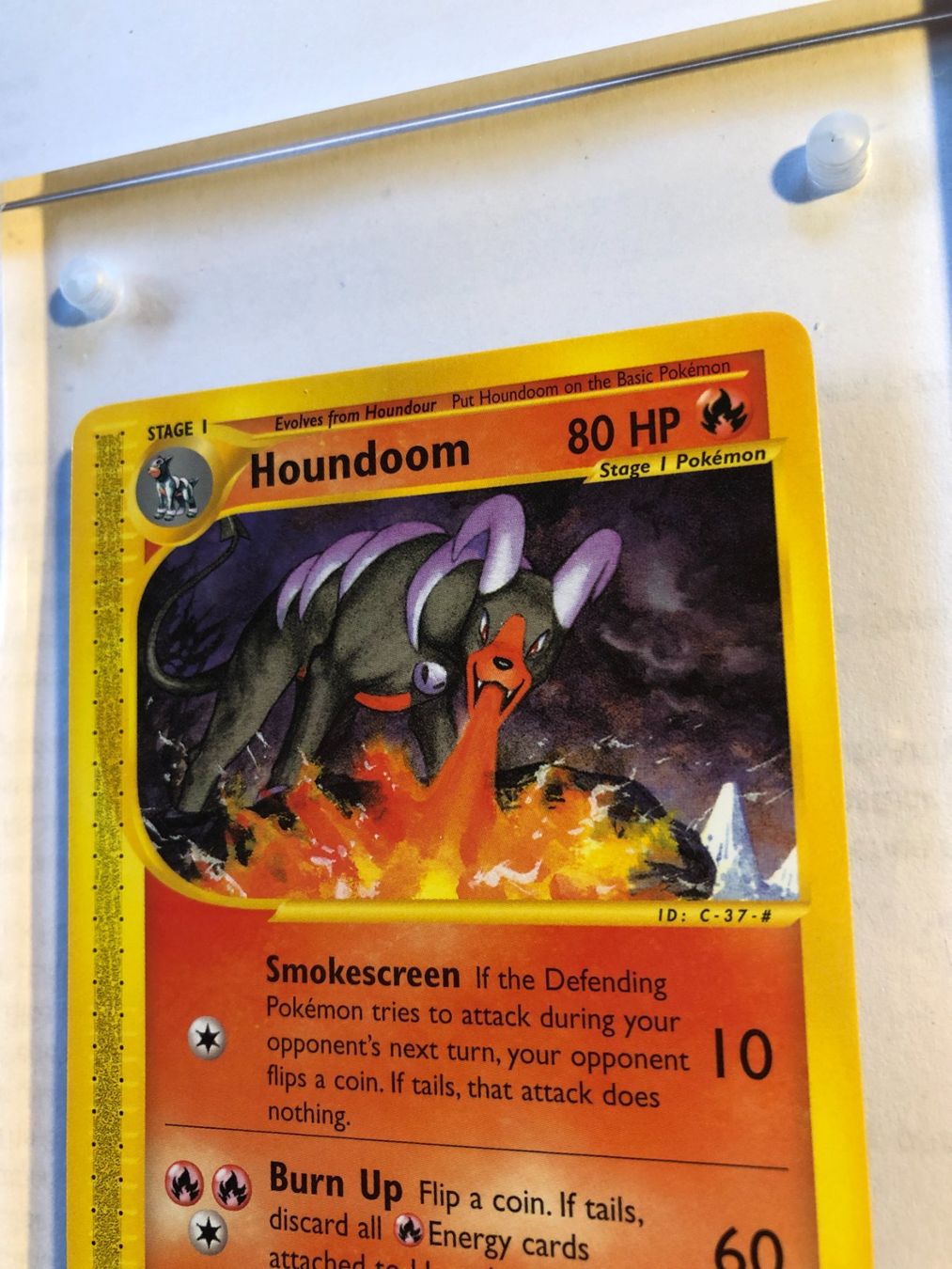 Cartes à collectionner: Houndoom (rare) Aquapolis - MINT - ab 1.- – D'occasion à Giubiasco par dan_pr8b 3