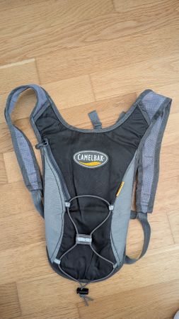 Camelback bag