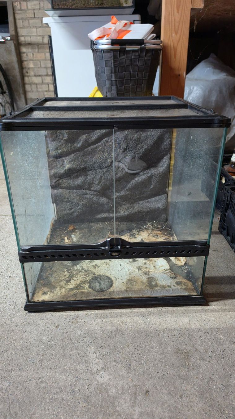 Exo terra Terrario: Exo Terra Glas-Terrarium – Usato da Bülach venduto da TheRealOli007