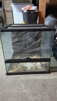 Exo Terra Glas-Terrarium