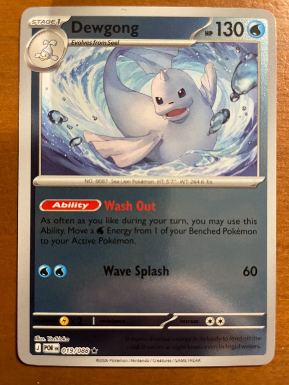 Pokémon Carte collezionabili: Pokemon Dewgong Reverse (Versand gratis) – Nuovo (secondo la descrizione) da Chur venduto da Angerson