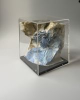 Rosemonde KRBEC (1920-2000) Arte moderna