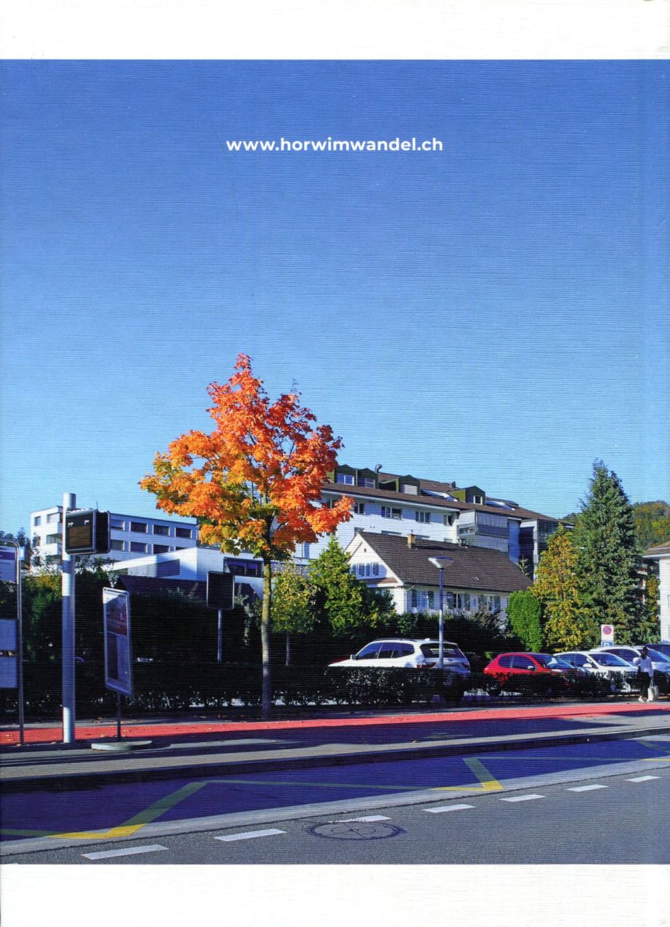 Libri: Horw, Ortsgeschichte – Usato da Aarau venduto da Elmaar41 1